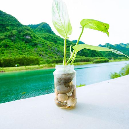 Phong Nha A Little Leaf Homestay Exteriör bild