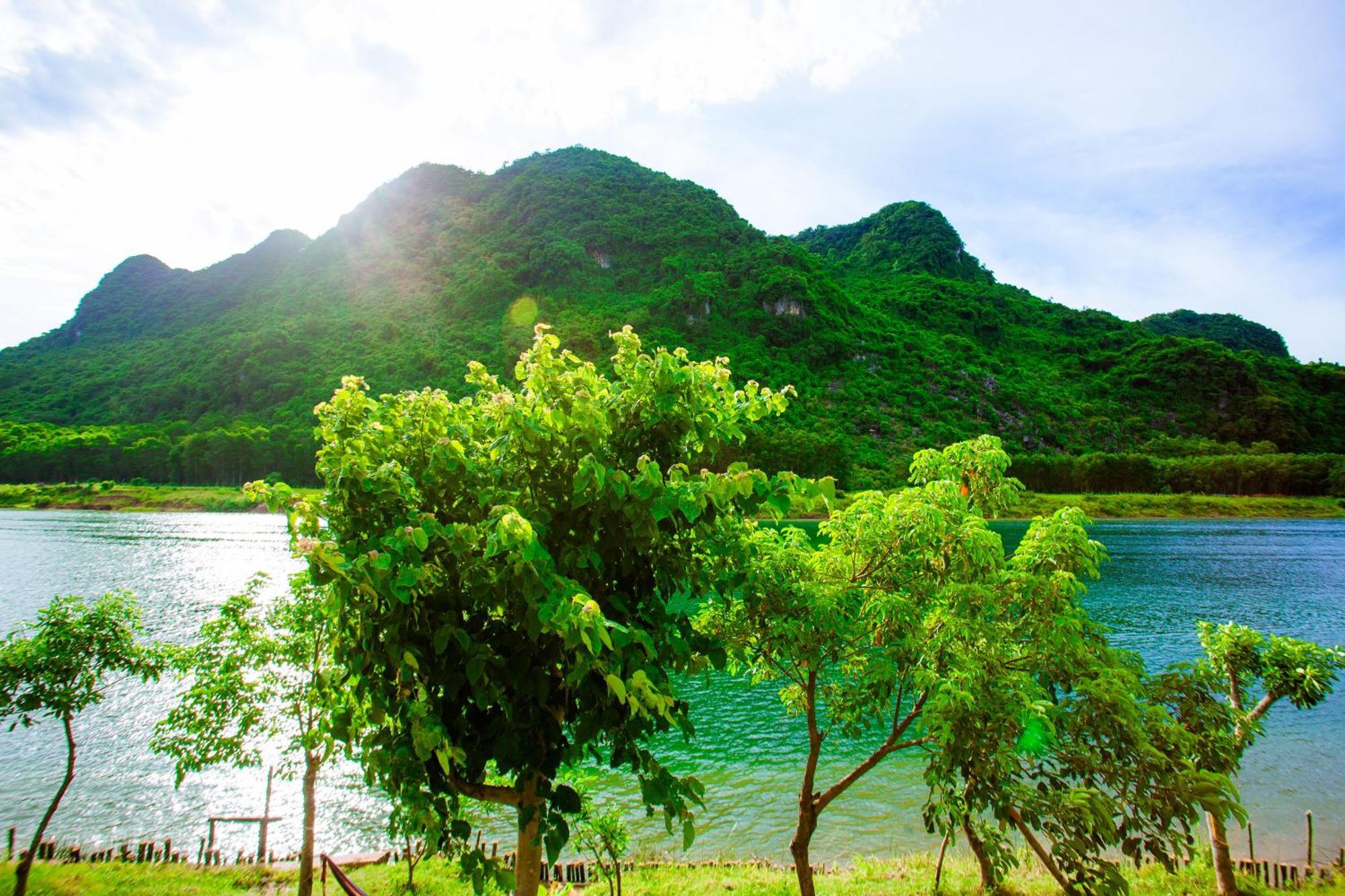 Phong Nha A Little Leaf Homestay Exteriör bild