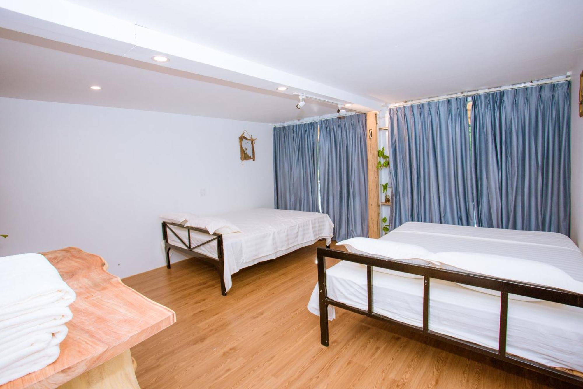 Phong Nha A Little Leaf Homestay Exteriör bild