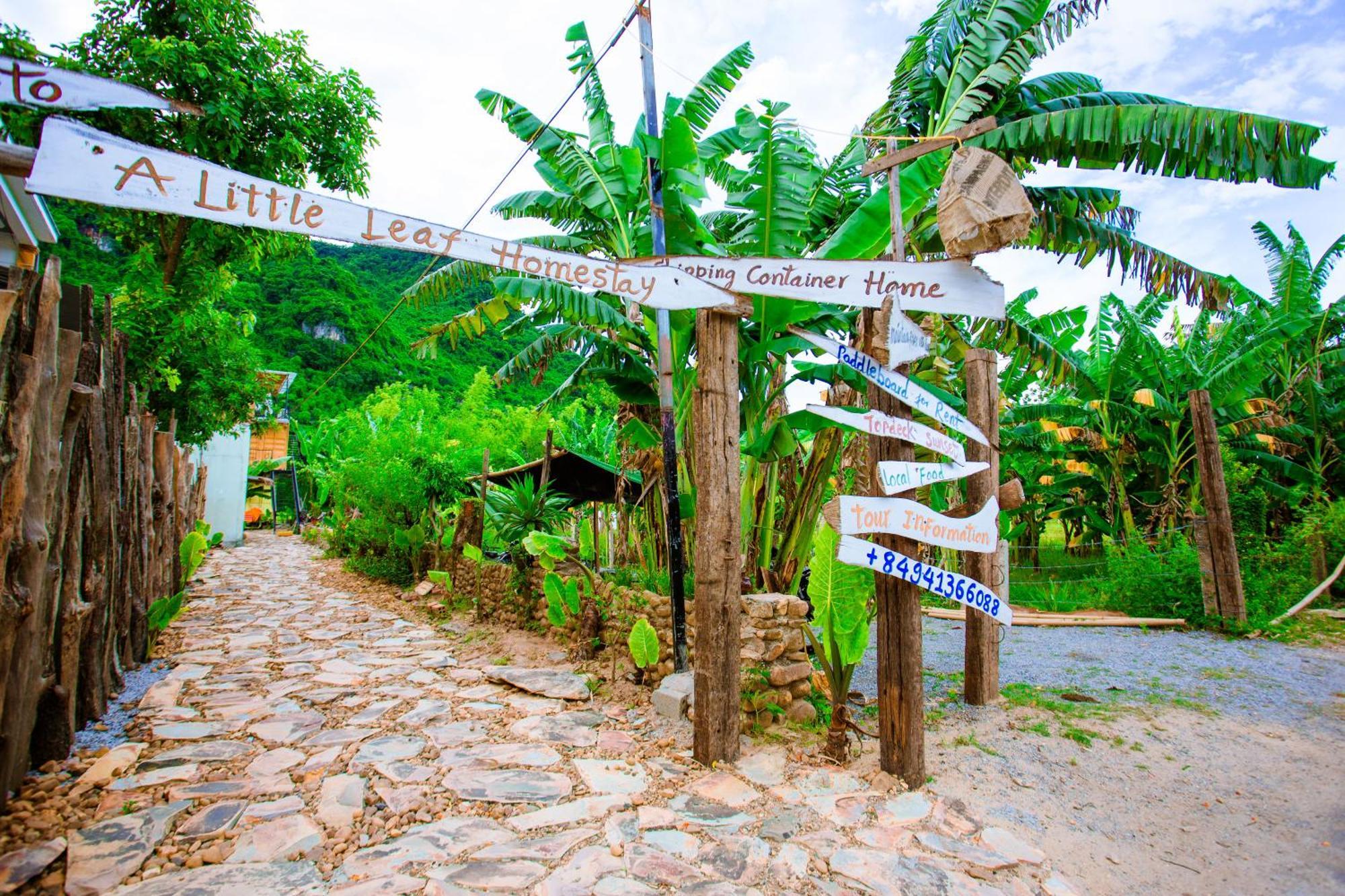 Phong Nha A Little Leaf Homestay Exteriör bild
